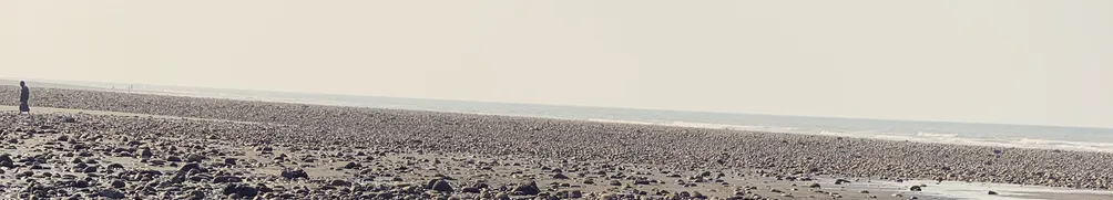 爾默生活+的沙龍