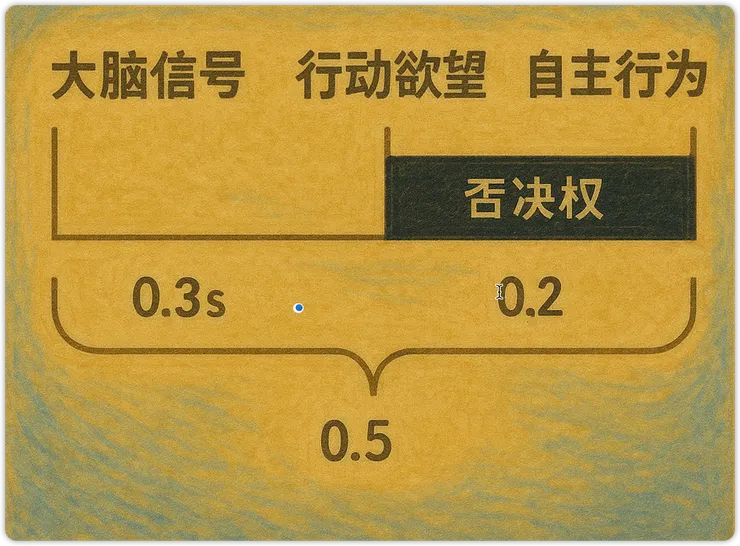 大腦決策時間示意