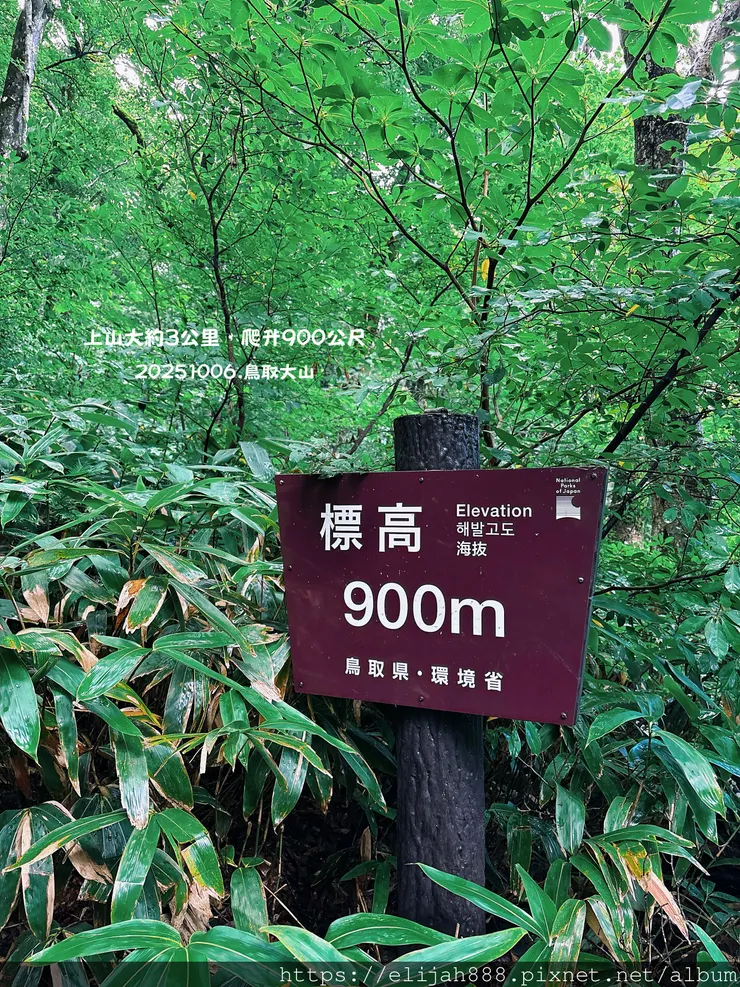 【2025初秋.鳥取県大山町登山趣】夏日登山口/海拔1709