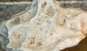 海泡石。圖片取自維基百科