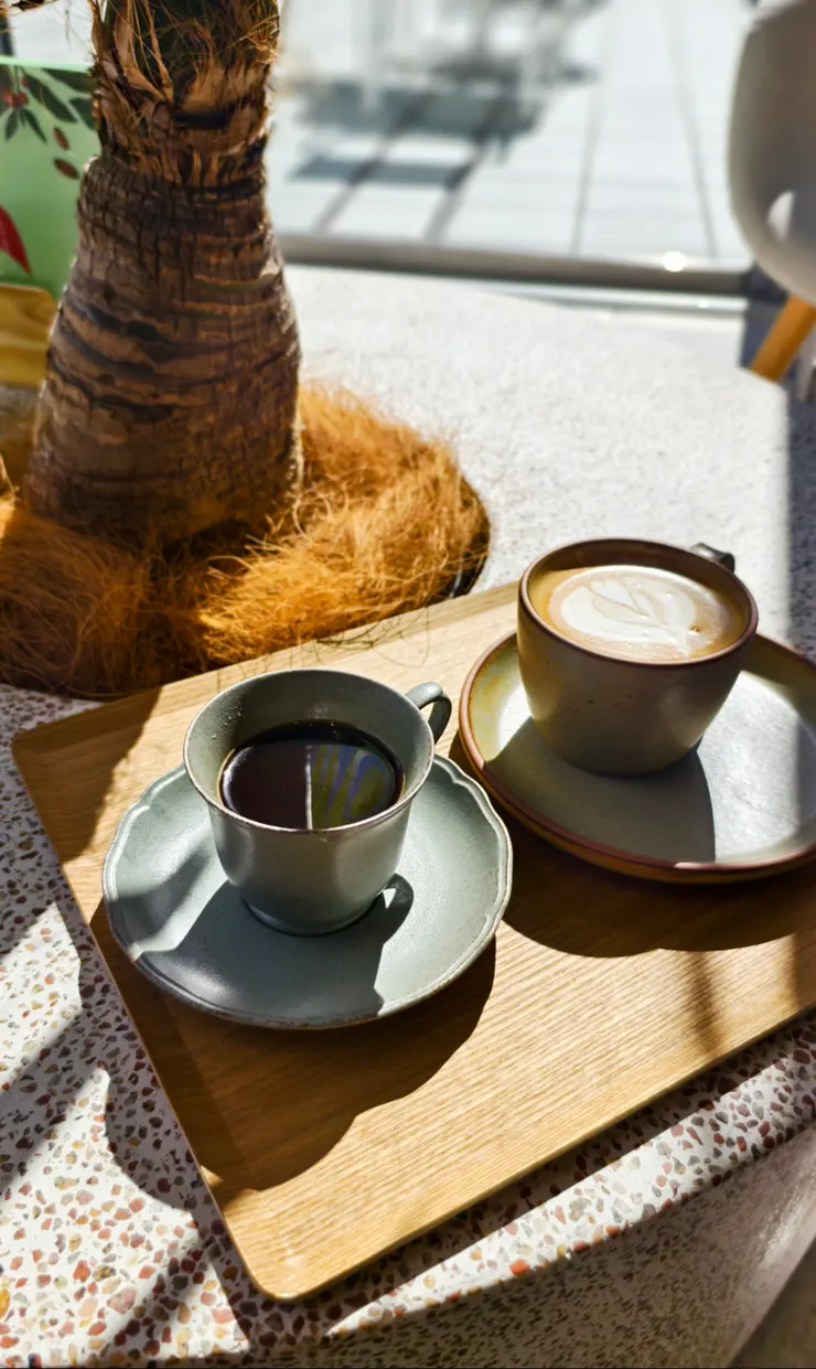 陽光普照的好天氣