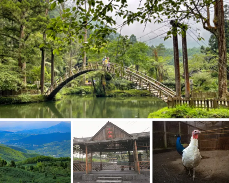 南投螢火蟲景點 2024南投螢火蟲景點|超夢幻南投4大賞螢秘境全攻略 6 2024