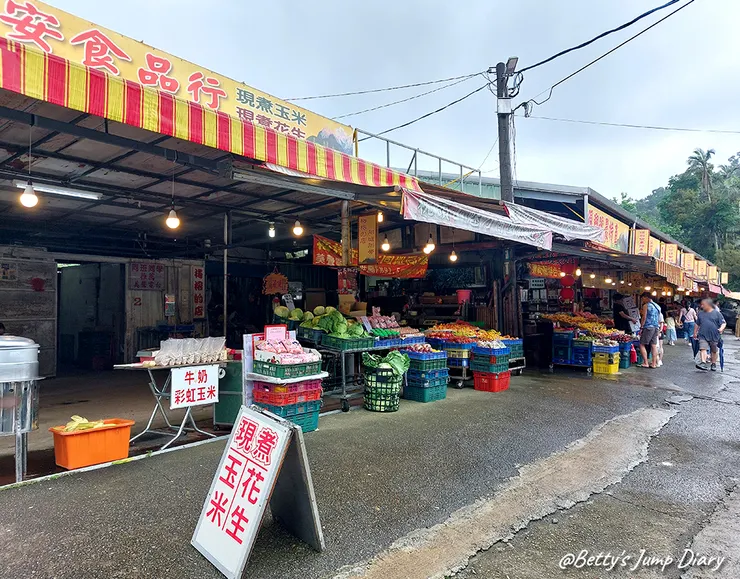 ▲2025花現台七「桃園繡球金針農遊趣」/ 圖片來源：Betty's Jump Diary