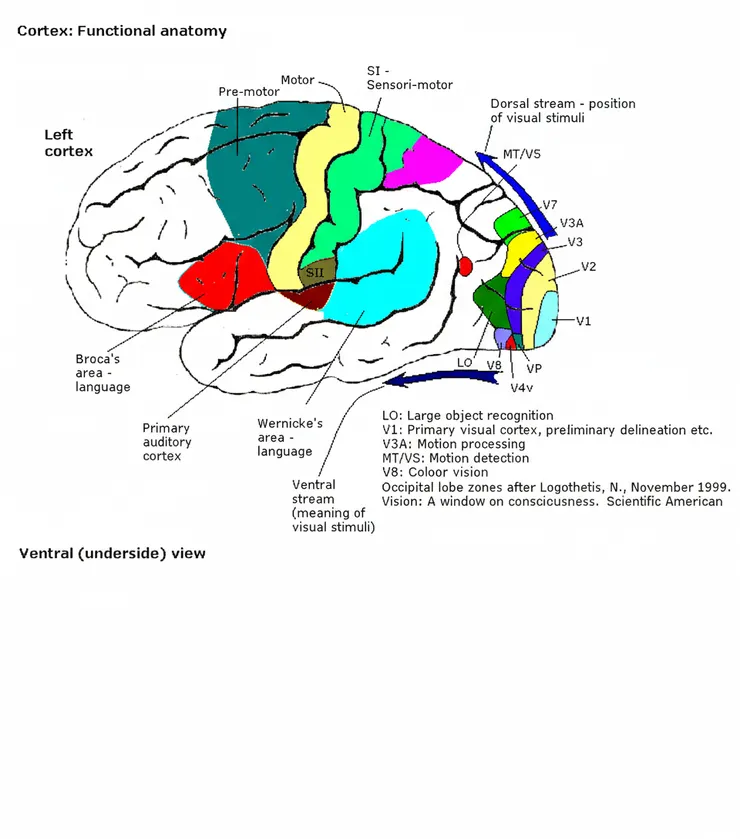 圖片重繪自By The original uploader was RobinH at English Wikibooks. - Transferred from en.wikibooks to Commons., CC BY-SA 3.0