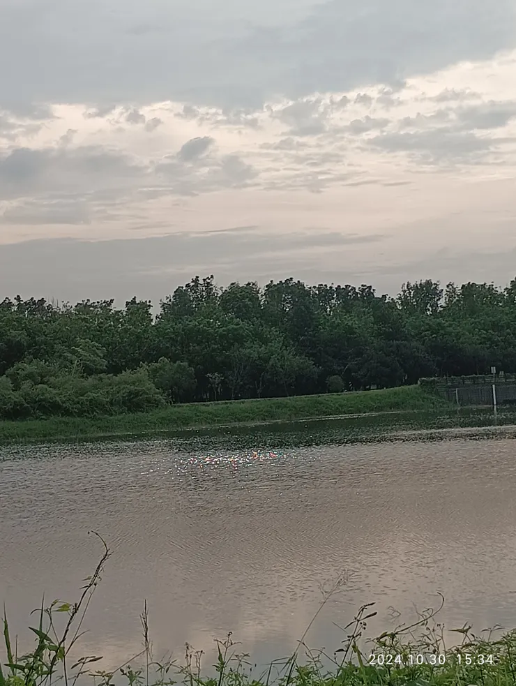 雨前，日昨，縠紋粼粼光細細，自拍攝