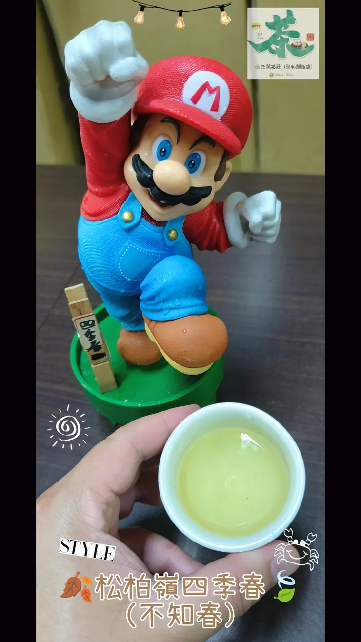 松柏嶺🐌台灣四季春(早春茶)