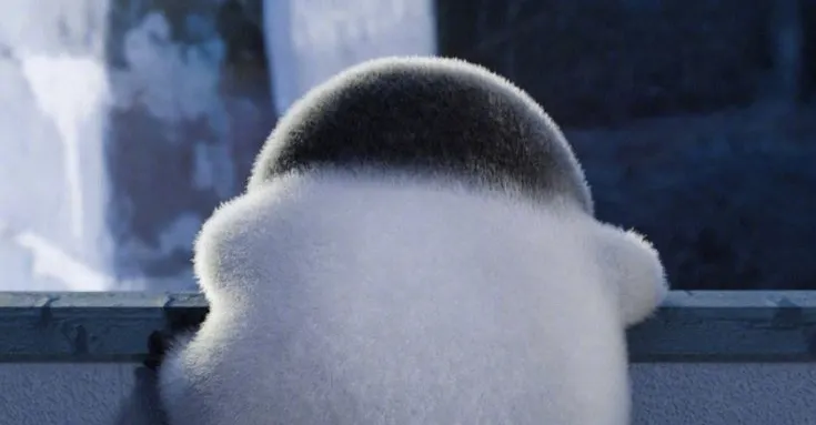 ♡冷門小知識分享♡