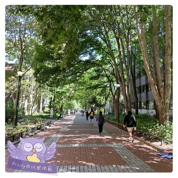 校園小徑的漫步