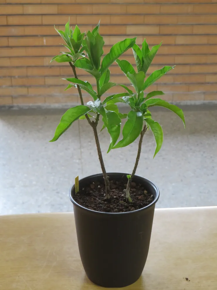 中山社大109.06.04