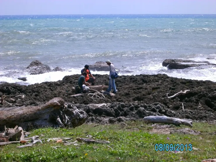 尋找漂流木/Mingling攝