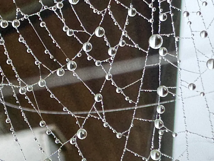 這一張水晶網做「水晶舞鞋」