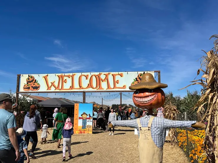 Spina Farms Pimpkin Patch