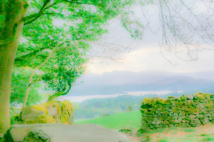 從俄瑞斯特山丘上的小徑俯視湖區的一個角落