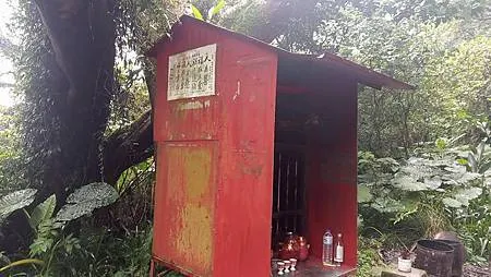 [新北美食]攻頂眺望鶯桃微笑山線、吃一碗百年大榕樹豆花，來一