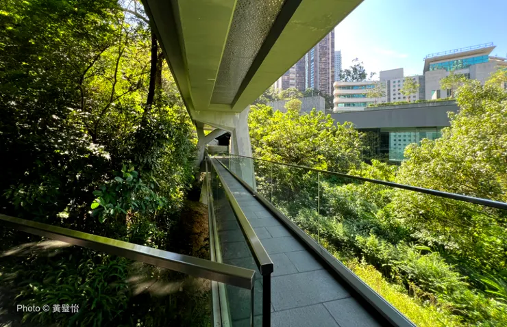 亞洲協會的建築,包括這連接新建大樓和軍火庫的長廊,均採用了原色的石材和水泥、大量玻璃、少量金屬,打造時代感的同時與自然環境協調。