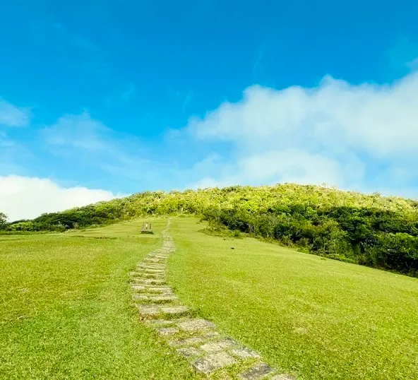 在山裡,重新找到自己 / 隅光拍攝