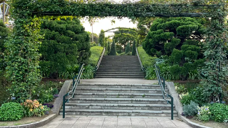 似乎可以在裡面玩躲貓貓。