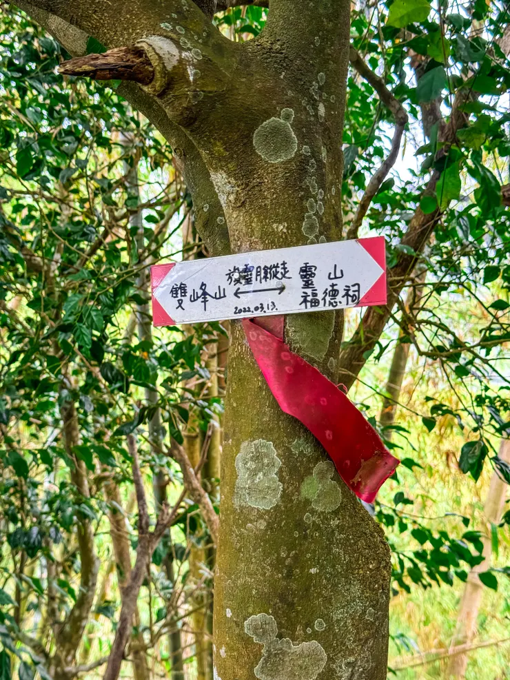 旗靈月縱走沿途都有訊號，那還不限動po爆！☺️