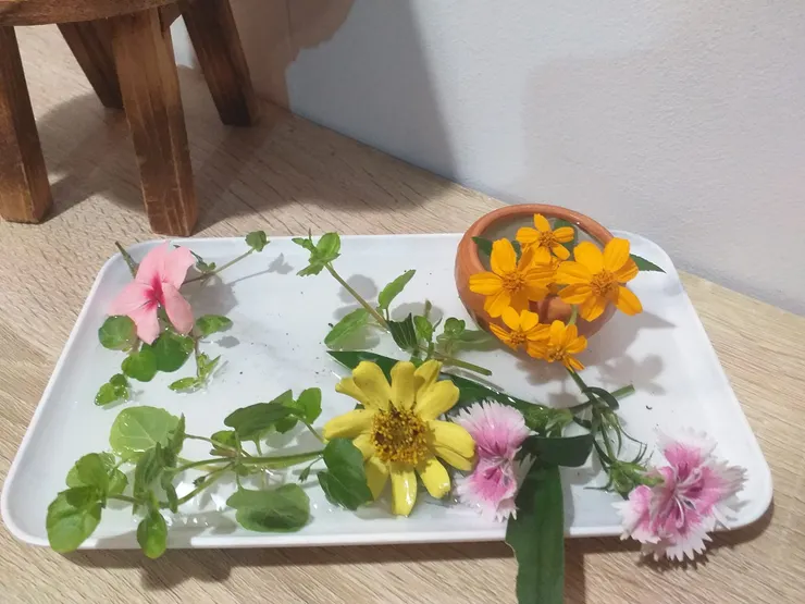 農場裡種植的許多花草