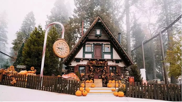 PUMPKINS IN THE PINES 松樹林裡的南瓜萬聖節主題活動