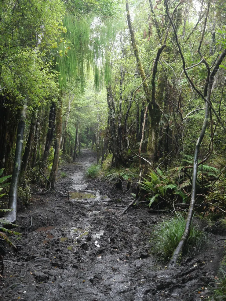一路上左閃右躲，一個不小心就深陷泥海之中。