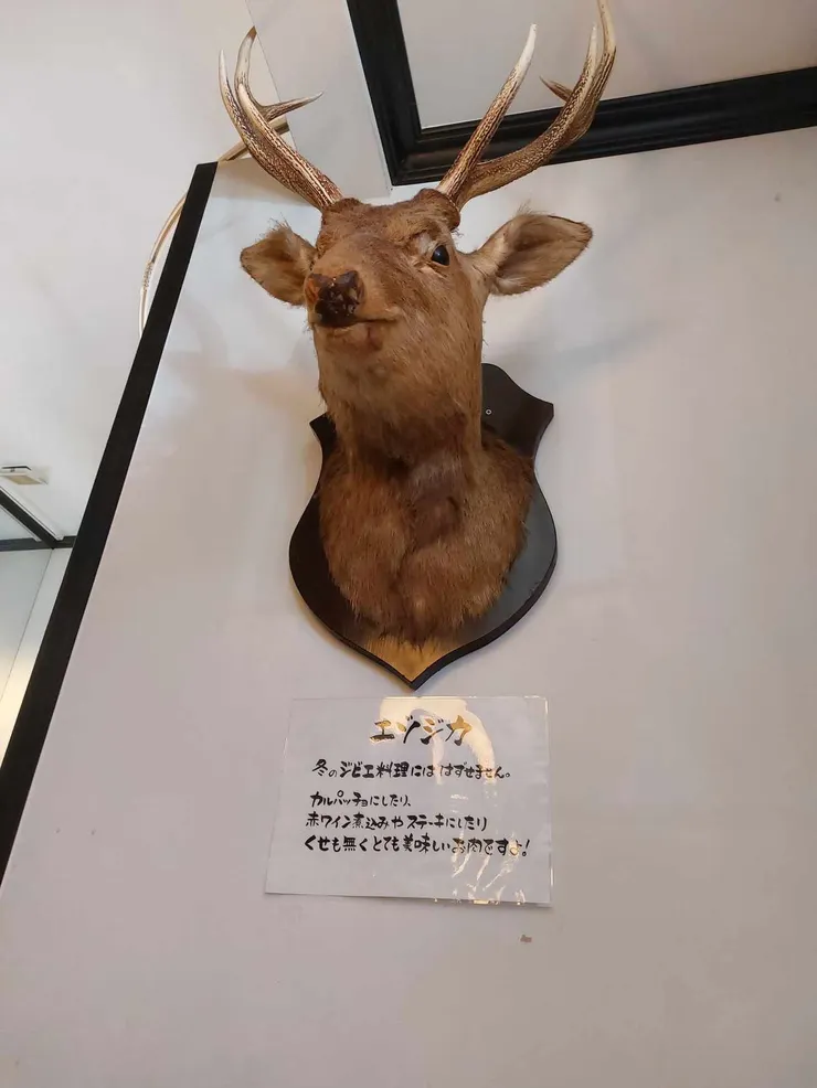 店裡的鹿頭裝飾