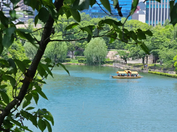 仿造豐臣秀吉「鳳凰號」的大阪城御座船,船身貼滿金箔,遊覽護城河