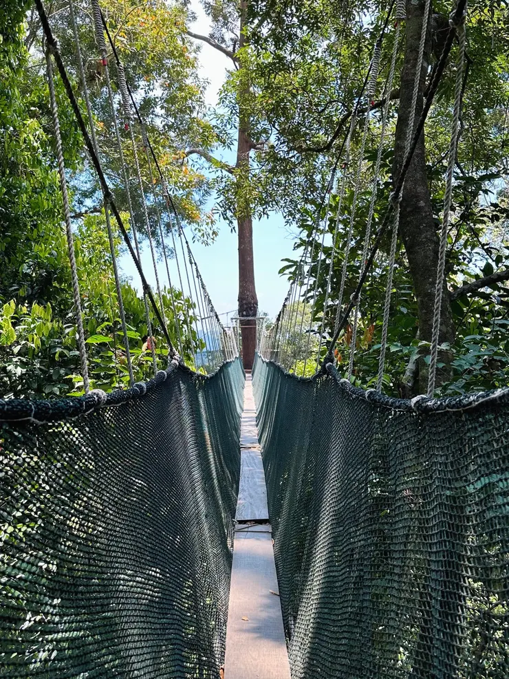 吊橋就是由這一片木板構成的，真的走得步步驚心