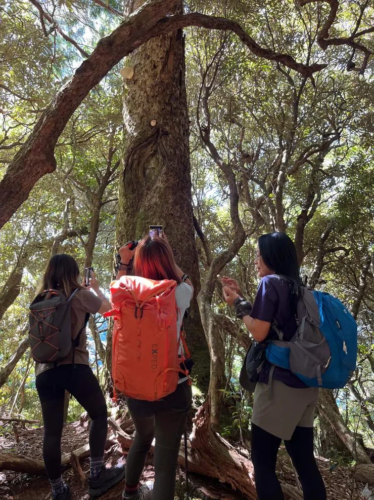 這團真的很愛拍照