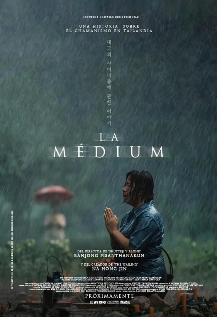 電影海報/來源:IMDB