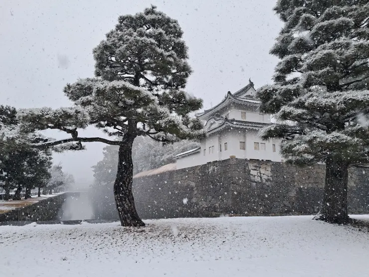 圖文不符之大雪漫漫二條城