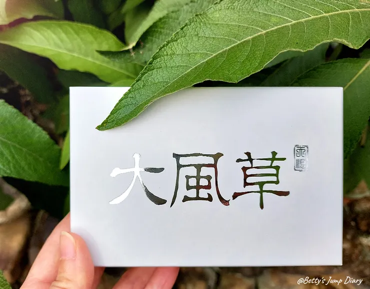 ▲天順純粹大風草30g舒活包3入/圖片來源：Betty's Jump Diary