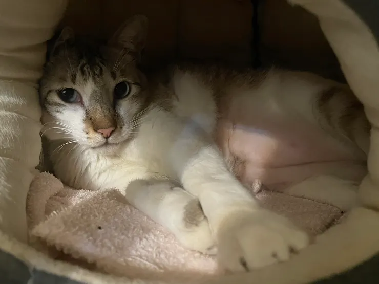 要不要進來陪我睡阿