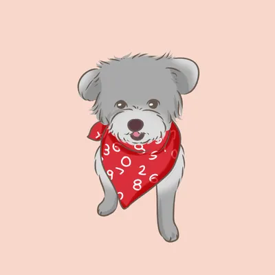 森林（forest）的沙龍