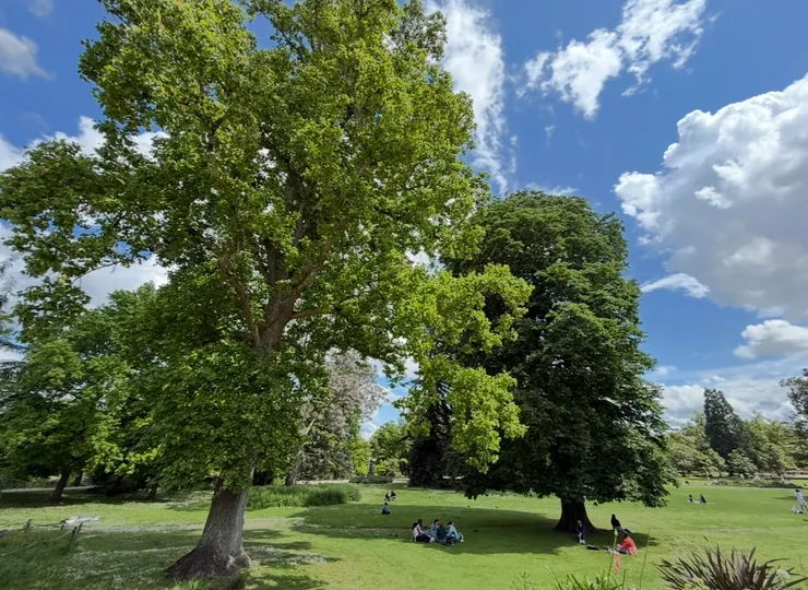 直接躺平原來這麼幸福