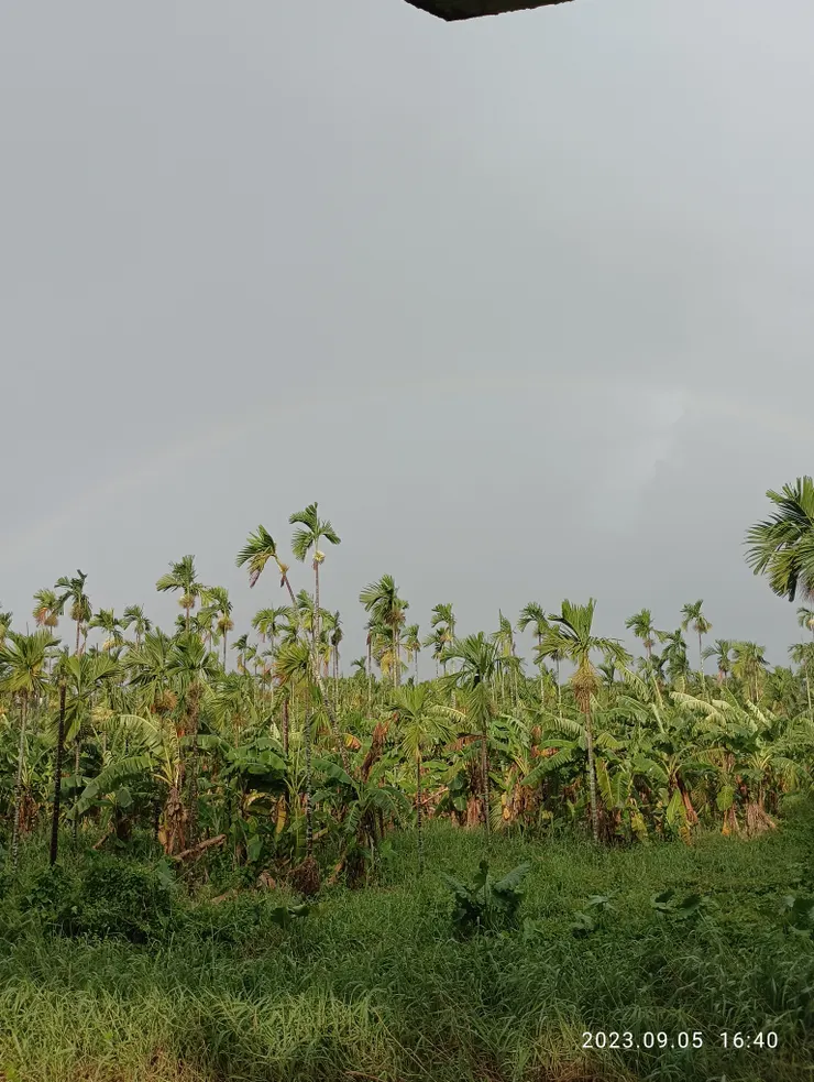 尋雨憩單騎往南方，雨醒留客竹南；雲隙日輕照彩虹顏淡，兜轉一圈兒旋也不見