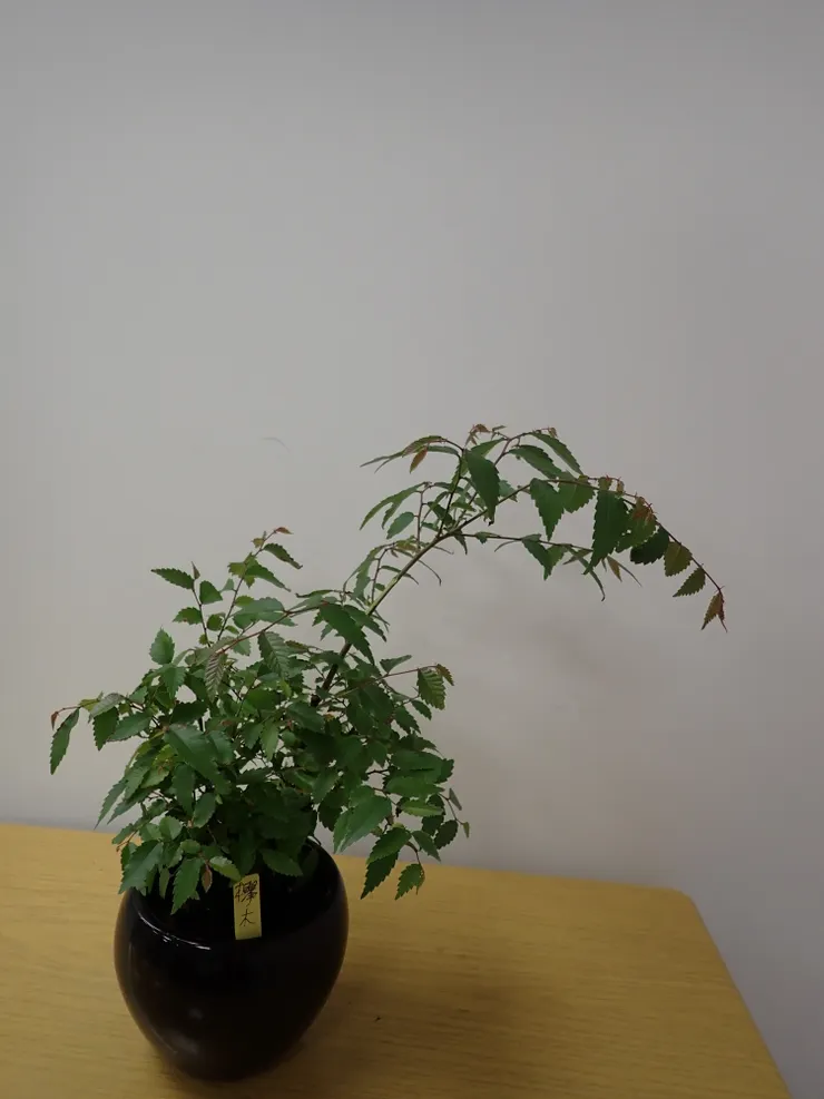 中山社大101.03.13