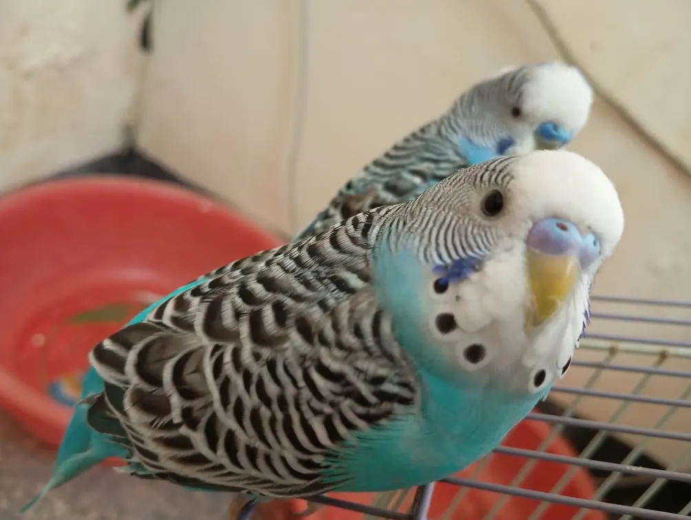 微維光Wei Light 一點一滴發光