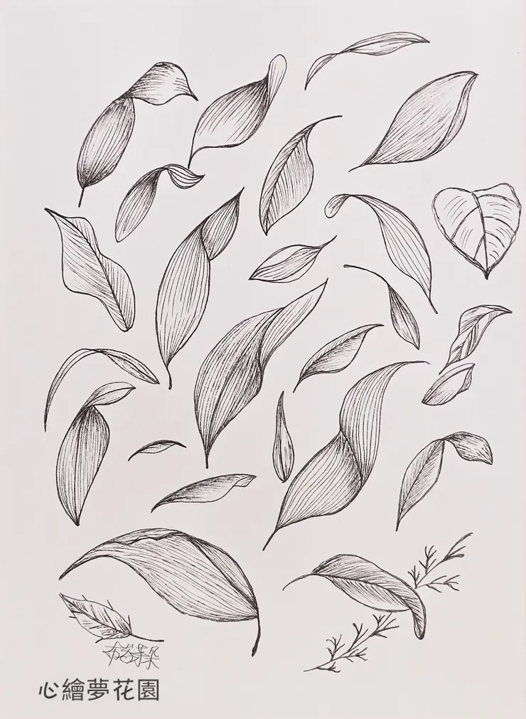 圖。文／布恣芽朵