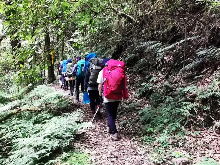 ▲續行經過一處崩塌處要下切至河床,再接回古道。