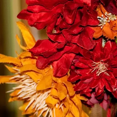 攝魂女神樓主大人的絳仙塢