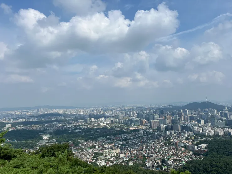 仁王山登頂風景