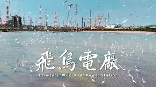 紀錄片《飛鳥電廠》預告片