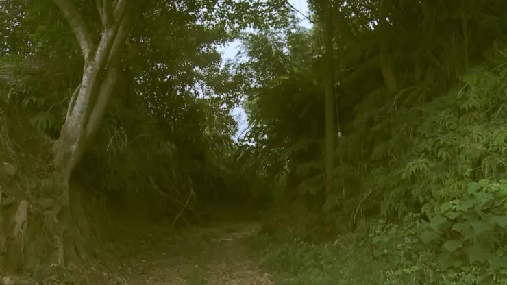 黃佩芬遭棄屍在木柵山區現場