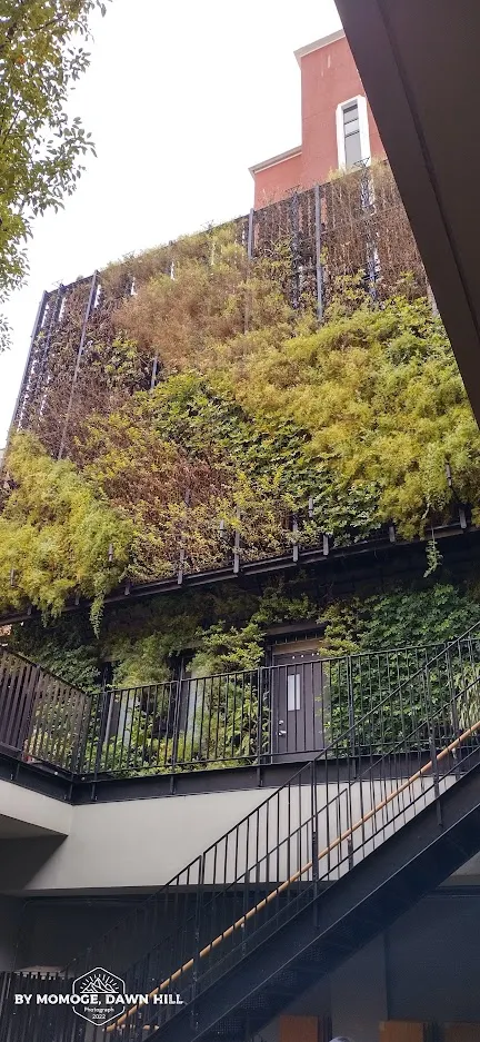 這是濟南教會後面的新建築,教堂本身是古蹟,但整個教會區域都很漂亮喔!