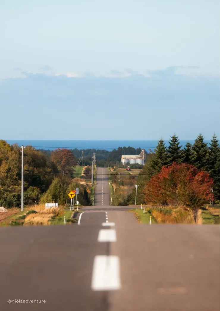 We are on the way home in Hokkaido