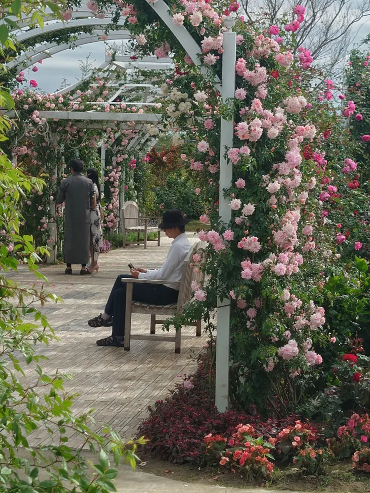 法式玫瑰花園少不了拱形花廊