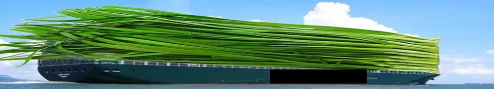 孤獨的韭菜的沙龍