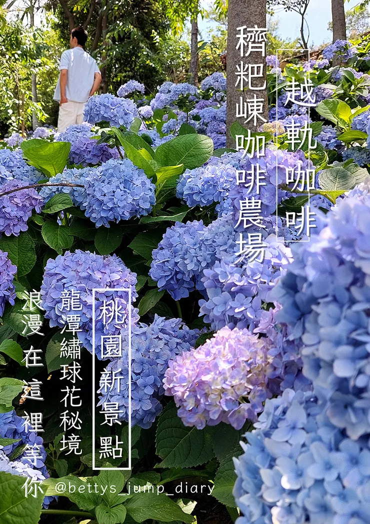 ▲桃園龍潭「穧粑崠咖啡農場」、「越軌咖啡」/ 圖片來源：Betty's Jump Diary