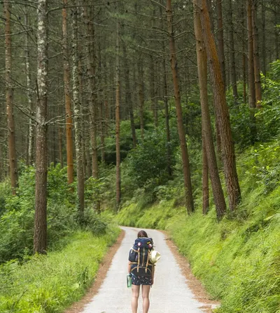 【自由書寫】2026/04/15